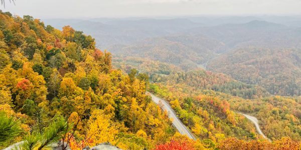 Fall landscape of Appalachian mountains with mostly yellow and red tree leaves.